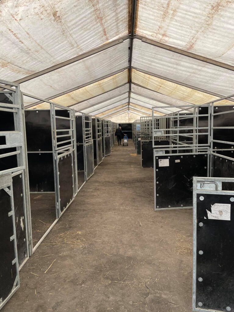 Overzicht van binnenkant van tent met paardenstallen